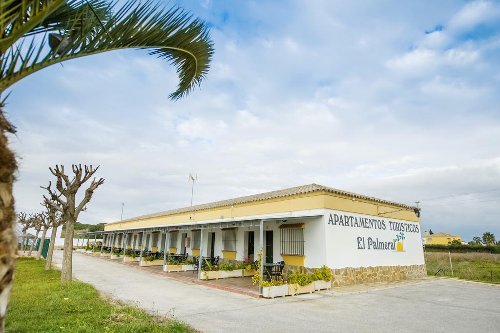 Apartamentos La Palmera Conil De La Frontera Habitación foto